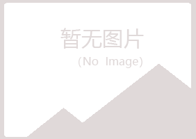 揭阳夏岚采矿有限公司